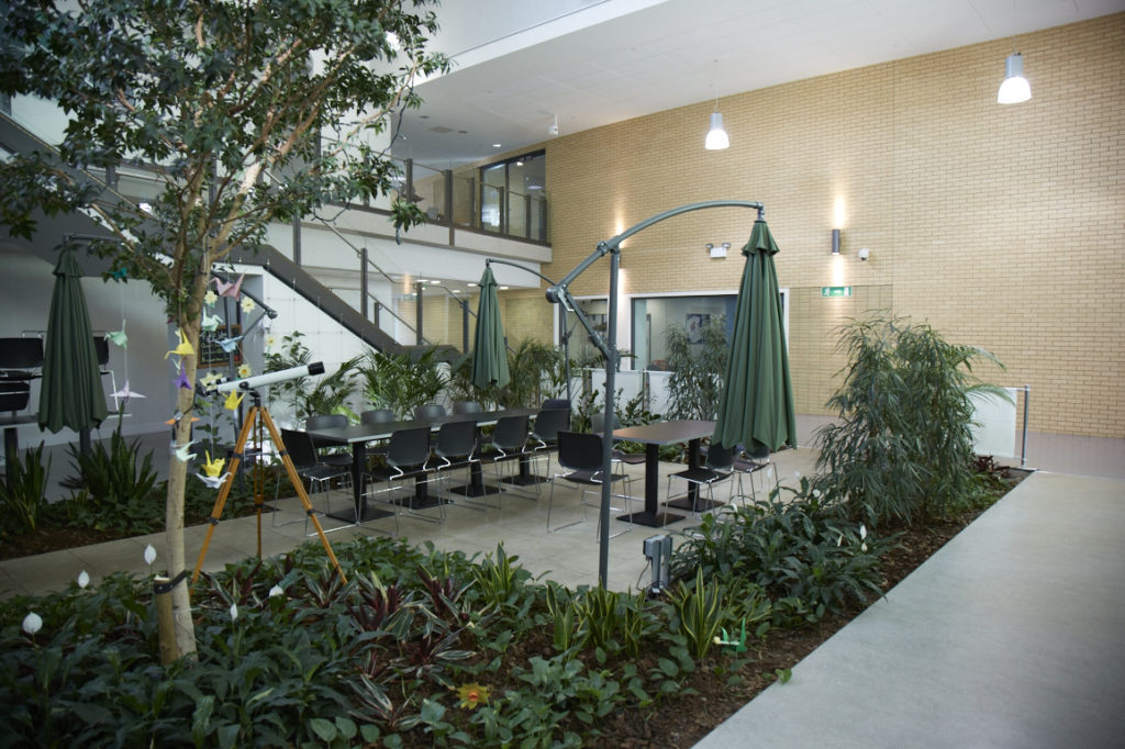 Photo of an indoor eating area in Leigh Academy Longfield with umbrellas and plants around.