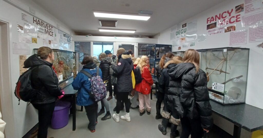 Students looking in various animal enclosures