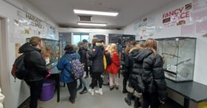 Students looking in various animal enclosures