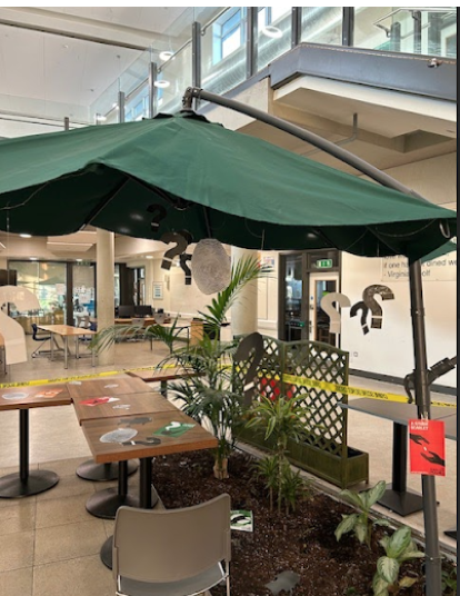 Clues for students to guess set out around a table and under an umbrella